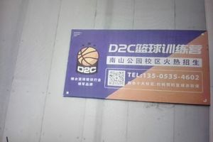 篮球训练营的营业执照